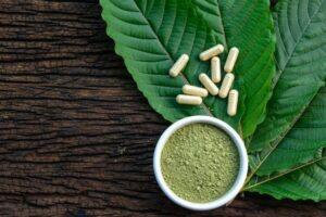 What Is Kratom or Mitragyna Speciosa